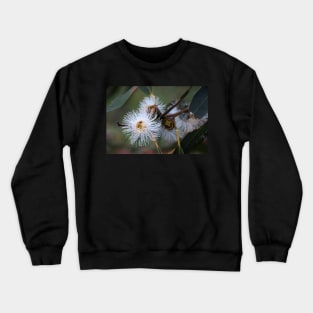 Gum Tree Flower by South Australian artist Avril Thomas Crewneck Sweatshirt